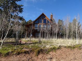 21 Blue Spruce Rd, Divide, CO 80814