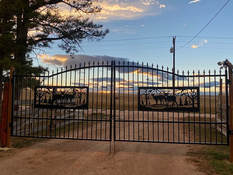 A grand ornamental iron gate with an arch design provides a secure yet welcoming entrance to the property