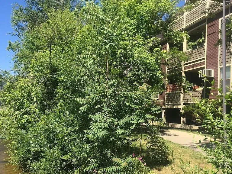 2301 Pearl St #29 — Photo 43