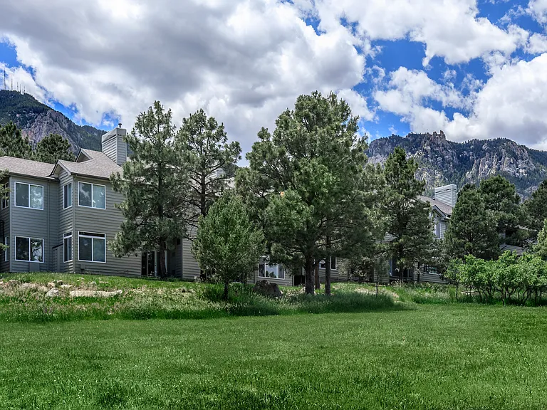 Pines at Broadmoor — Photo 30