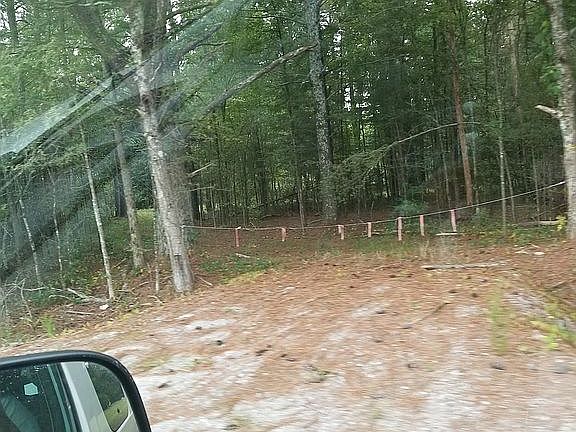 11 acres