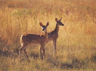 160th St, Milltown, WI 54858