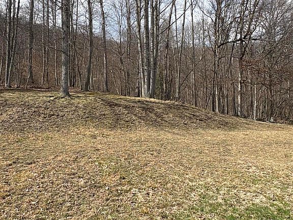 3rd image of 491 Grassy Creek Rd