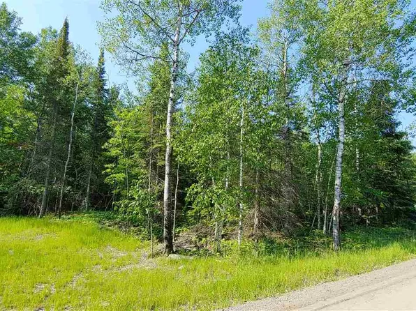 2247 Town Rd #342, International Falls, MN 56649