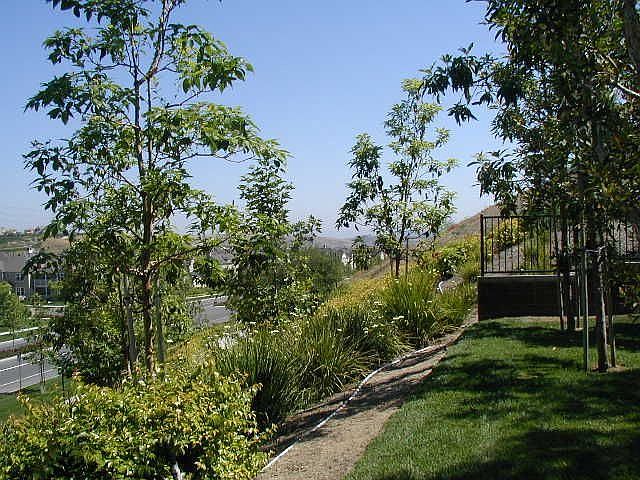 Wonderful Aliso Viejo!