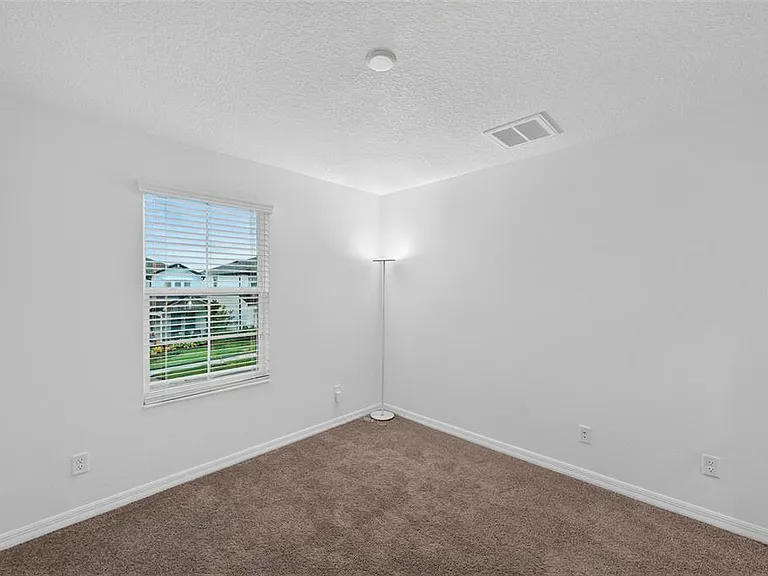 31903 Sapna Chime Dr — Photo 46