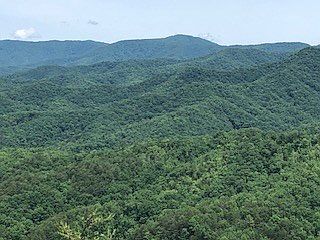 2nd image of Lot 7 Serenity Ridge Trail