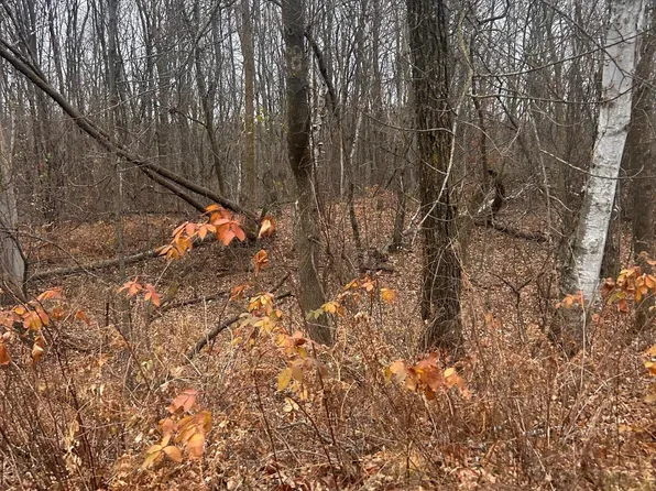 Golf Course Cir, Cushing, MN 56443