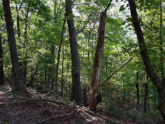 4th image of 433 E Hanging Rock Forest Rd