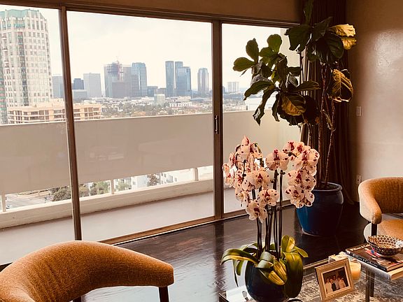 Living room with view