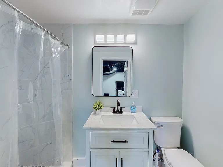 Lower level Bathroom