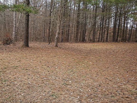 4th image of 168 Hall Hill Rd