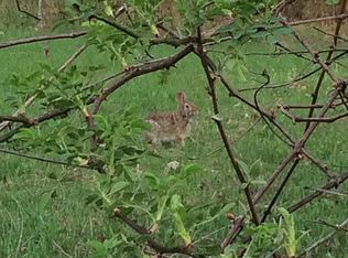 7401 Chamberlin Rd, Dexter, MI 48130