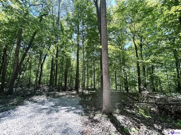 2525 Salem Lake Rd Lot 11, Hodgenville, KY 42748