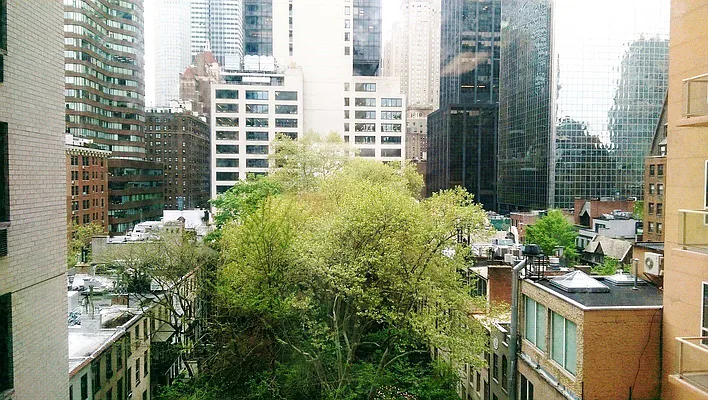 Rented by Manhattan Apartment Organization | media 28