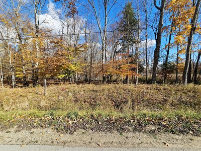 PARCEL North Rd #A, Curtis, MI, 49820