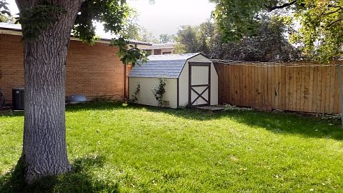 Fenced Yard