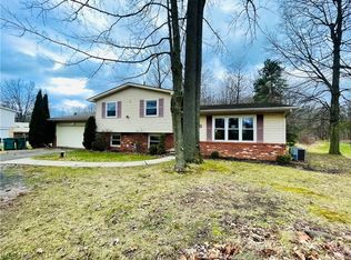 550 W Pidgeon Rd, Salem, OH 44460