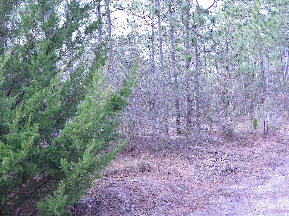 1st image of Lot 10 Sanford Road LOT 10