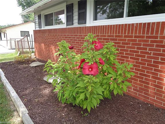 3rd image of 1785 Evergreen Dr