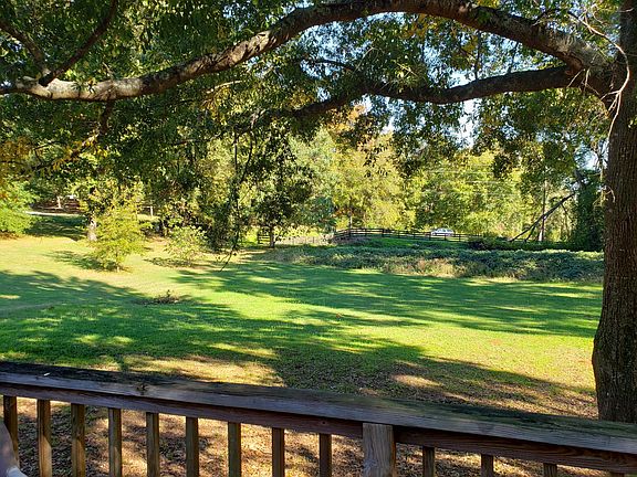 Back Yard from patio
