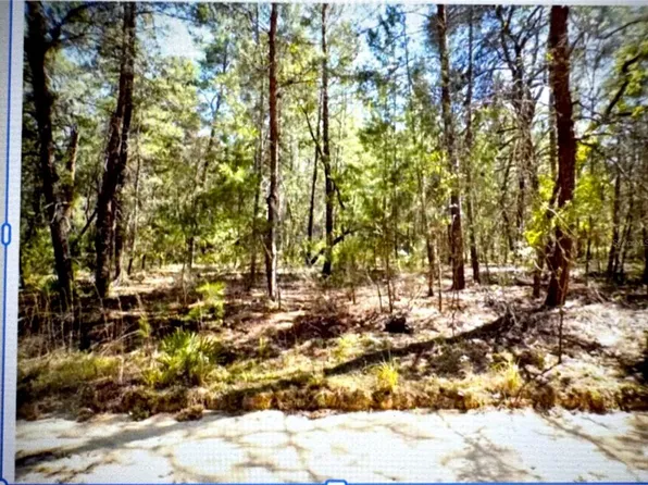 Old Bellamy Trl, Melrose, FL 32666