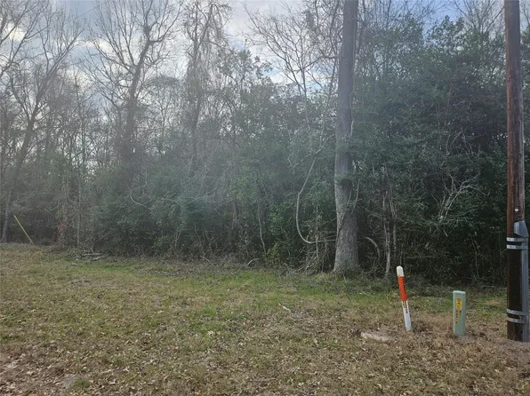 0 Winding Creek Rd, Shepherd, TX 77371