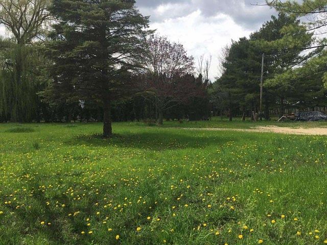 2nd image of 1385 Storytown Rd