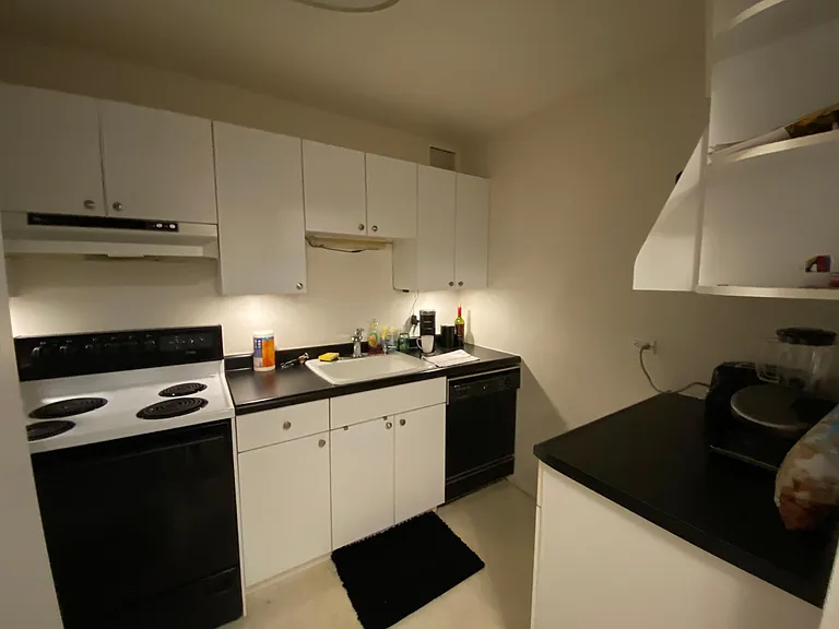 777 N Michigan Ave #1203 — Photo 5
