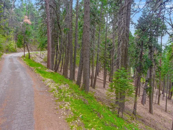 3 Bullion Bend Rd, Pollock Pines, CA 95726