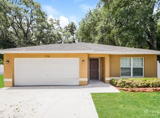 7356 Holly St, Mount Dora, FL 32757