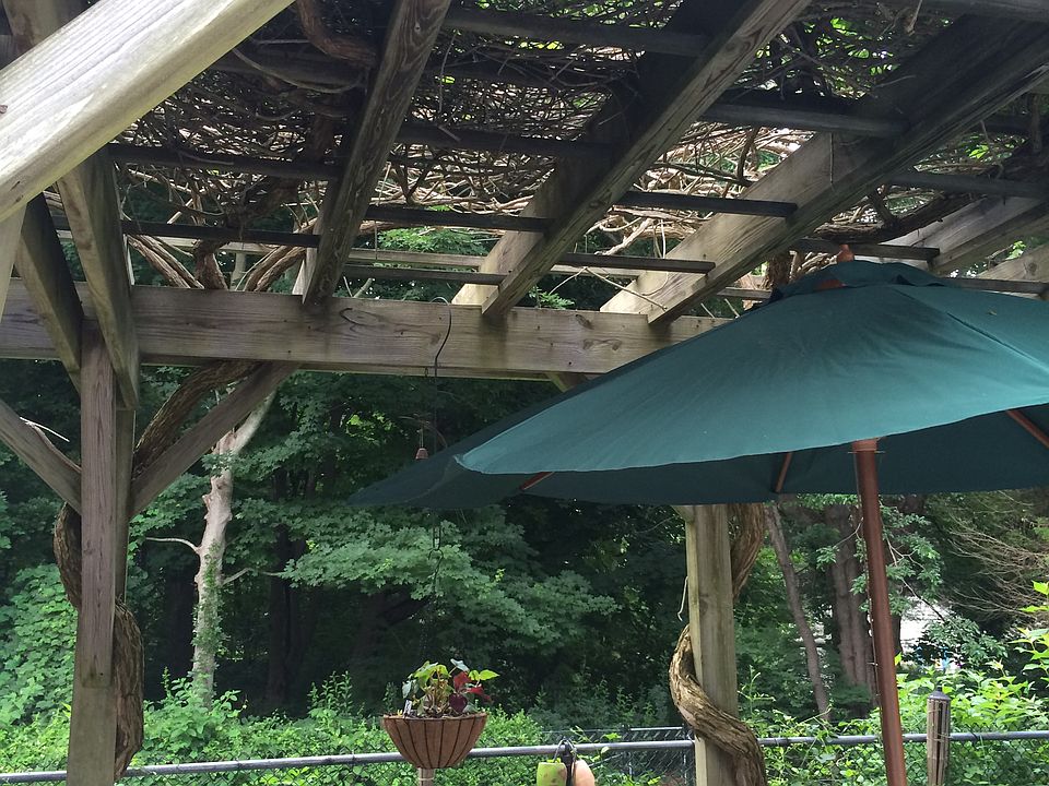 Pergola, amazing pool deck!