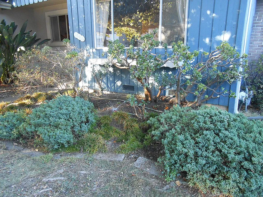 18418 Joseph Dr photo 1