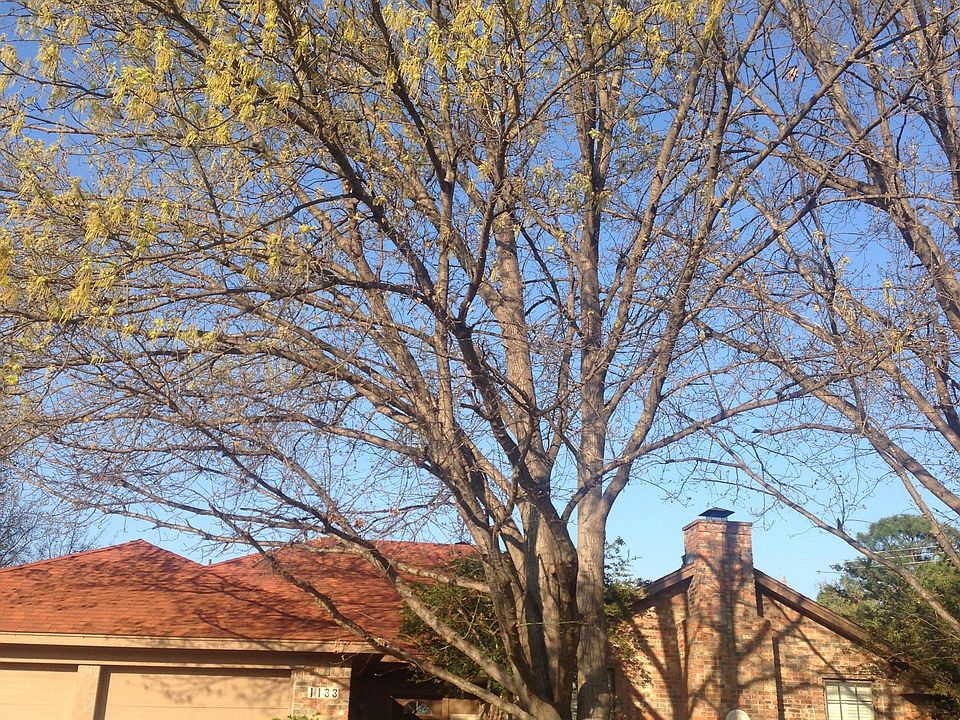1st image of 1133 Wheaton Ct