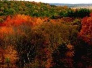 9 Blackthorn Rd, Shrewsbury, MA 01545