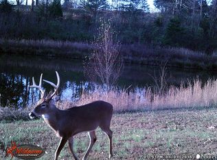 32313 Bcr 380, Patton, MO 63662