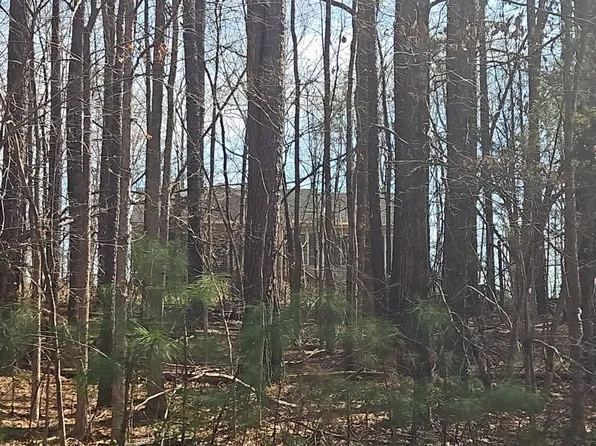 5329 Little Joe Dr, Powhatan, VA 23139