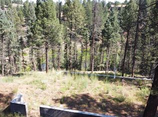 67 Gerka Ln, Florissant, CO 80816