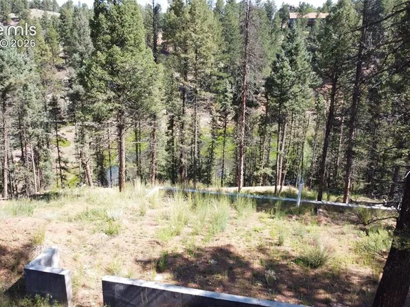 67 Gerka Ln, Florissant, CO 80816