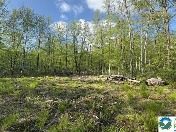 Butternut & Mahogany Rd, Jim Thorpe, PA 18229