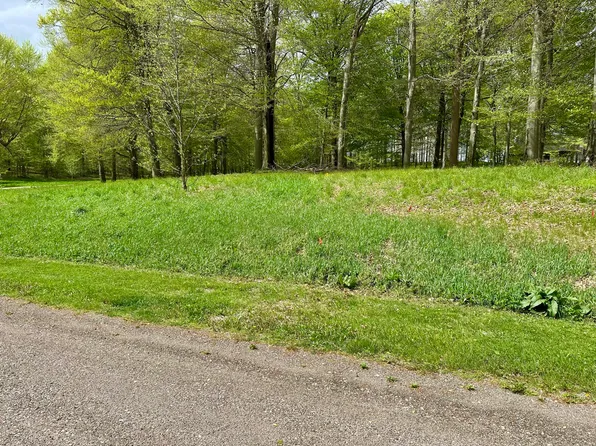 8828 Beechwood Ct, Berrien Center, MI 49102