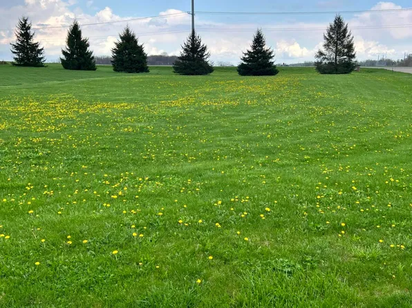 Ryan Rd Lot 12, Marcellus, MI 49067