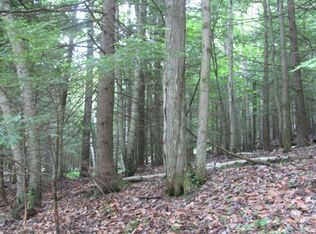 0 Tucker Rd, Bath, NY 14810