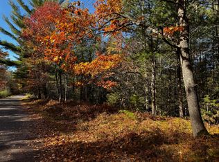 Birch Lake Rd, Watersmeet, MI 49969