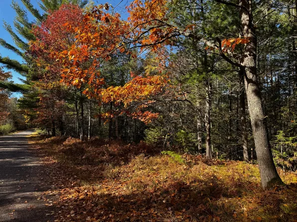 Birch Lake Rd, Watersmeet, MI 49969