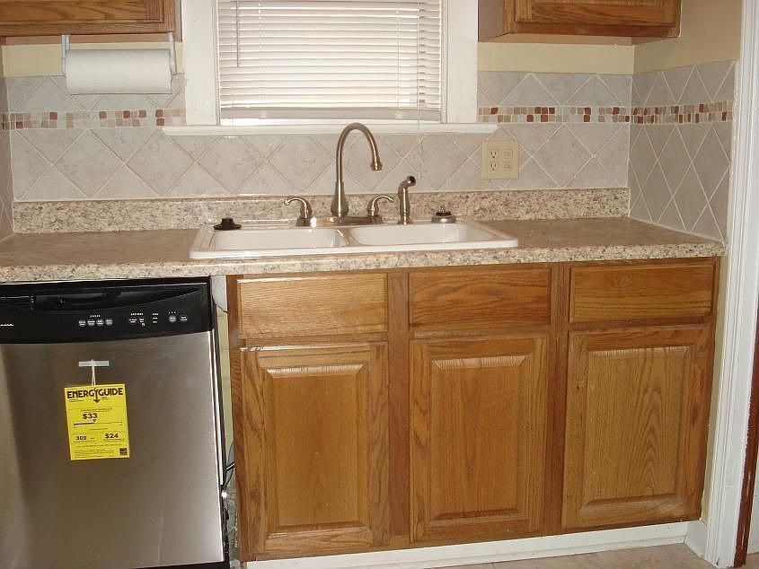 Stainless dishwasher w/ceramic backsplash