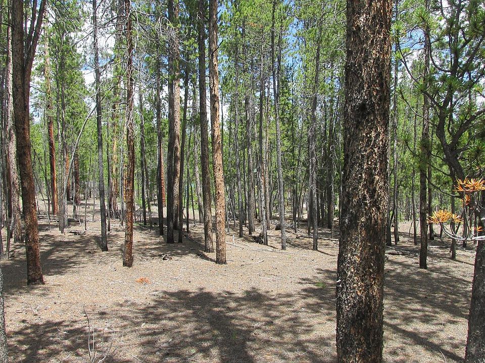 511 Birch Dr Twin Lakes, CO Zillow