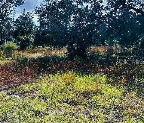 1st image of 6646 W PARK DRIVE LOT 10