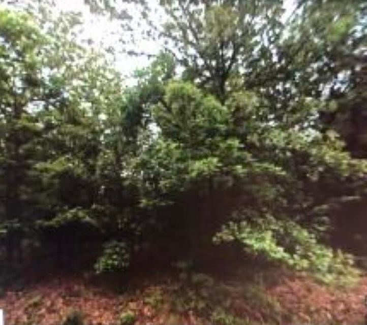 2nd image of 1407 Sleepy Hollow Dr
