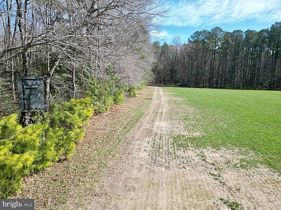 5th image of 0 Blake Rd